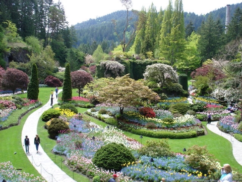 AĞAÇLANDIRMA, BOTANİK BAHÇE UYGULAMALARI