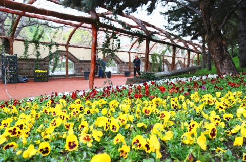 AĞAÇLANDIRMA, BOTANİK BAHÇE UYGULAMALARI